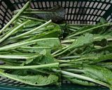 即席♪野沢菜しょうゆ漬け♪作り方1写真