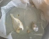 ワケあり現役たい煮干し出汁…食卓デビュー作り方3写真