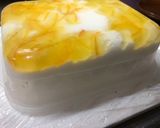 水切りヨーグルトのレアチーズケーキ作り方6写真