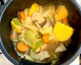 野菜たっぷり☆鶏肉とさつまいもの煮物作り方4写真