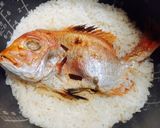 簡単!炊飯器で鯛めし作り方6写真