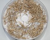 簡単☆乾燥きのこ＆野菜で赤味噌ちゃんこ鍋作り方10写真