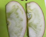 ひとつのリンゴで2体完成☆りんごのスワン作り方16写真