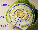 キャベツの芯の焼きしゃぶ作り方1写真