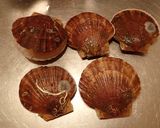 ホタテ貝ヒモの中華スープ作り方1写真