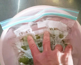 ぶどうの冷凍保存法作り方3写真