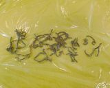塩こんぶで鯛の昆布締めからの、鯛茶漬け！作り方1写真