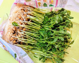 えのき·しめじ·豆苗等野菜の切り方決定版作り方3写真