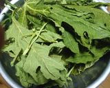 ダイエットに…「パパイヤ茶」作り方2写真