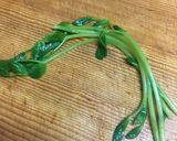おでん用袋とじきつねうどん作り方9写真