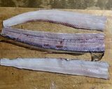 中はふんわり 太刀魚の大葉梅肉巻き天ぷら作り方2写真