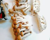♪こんにゃくときのこのダイエット煮物♪作り方3写真