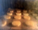 簡単☆アイスボックス☆サクサククッキー作り方13写真