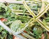 こごみぜんまいのふきのとう味噌ちらし♡作り方2写真