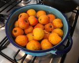 メキシコ冬のホットドリンク♩【ポンチェ】作り方1写真