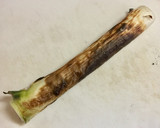 魚焼きグリルで白ネギの丸焼き作り方2写真