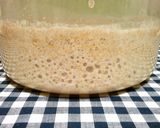 ポルトガルの田舎パン用★天然酵母種★作り方8写真