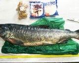 北海道新巻鮭の飯寿司 樽漬け作り方1写真