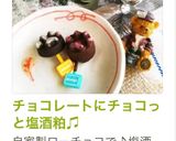 チョコレートにチョコっと塩酒粕♫作り方2写真