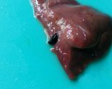 離乳食にも *鶏レバーの下処理*作り方4写真