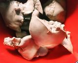 離乳食にも *鶏レバーの下処理*作り方18写真