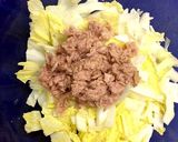 余った白菜とツナの簡単サラダ♪作り方1写真