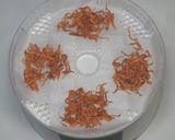 簡単☆さっぱり☆乾燥レモンの塩ちゃんこ鍋作り方6写真