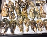 殻付き牡蠣 ホットプレートで酒蒸し作り方1写真