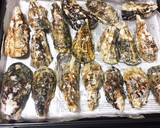 殻付き牡蠣 ホットプレートで酒蒸し作り方1写真