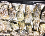 殻付き牡蠣 ホットプレートで酒蒸し作り方3写真