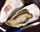 殻付き牡蠣 ホットプレートで酒蒸し作り方4写真