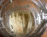 りんご酵母のもっちりベーグル作り方17写真