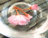 美しさよ永遠に！桜の塩漬け（梅酢漬け）作り方7写真