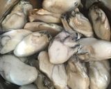 無限牡蠣鍋(物理)作り方3写真