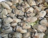 無限牡蠣鍋(物理)作り方7写真