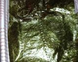 函館名物焼き鳥弁当（はせがわストア）作り方5写真