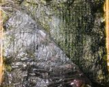 ソーセージ巻き♡海老すり身ロール作り方3写真