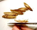 たらこのきんぴらごぼう☆でんぶごぼう☆作り方1写真
