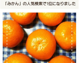 置き方で簡単！みかん長持ちのコツ作り方6写真
