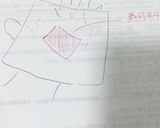 【30秒】ラップ1枚で簡単手毬寿司作り方2写真