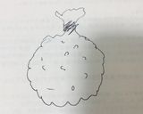 【30秒】ラップ1枚で簡単手毬寿司作り方5写真
