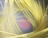女子力飯！①チーズエッグ焼きミートパスタ作り方2写真