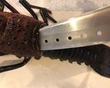 お父さんが伊勢海老のお刺身を作ったよ作り方1写真