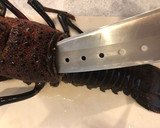 お父さんが伊勢海老のお刺身を作ったよ作り方1写真