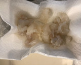 お父さんが伊勢海老のお刺身を作ったよ作り方6写真