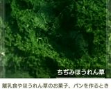 ピーナッツバター&ほうれん草カップケーキ作り方1写真