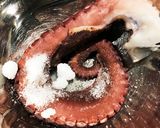 茹でタコになりたいタコ足！作り方1写真