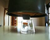 緑鮮やか♪抹茶シフォンケーキ作り方11写真