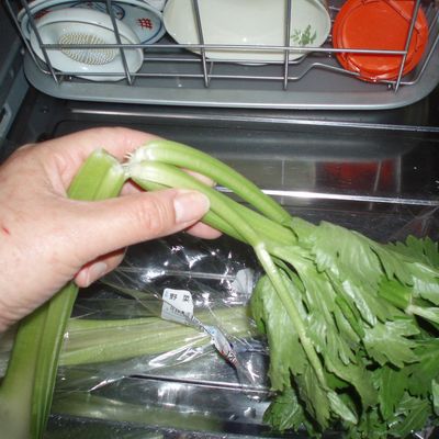 セロリ　　他の方は購入しないでください セロリ 他の方は購入しないでください Amazon.co.jp: ゼクス Z/X