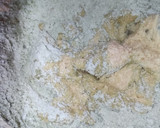 抹茶と黒豆のしっとりマフィン♬作り方5写真